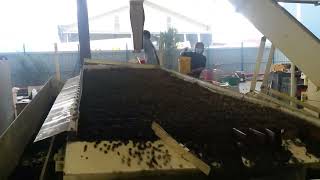 5XZ-10 palm kernel & shell separator, palm process machine