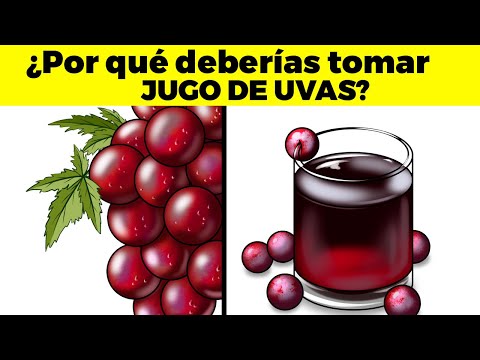 La Guía de las Vitaminas