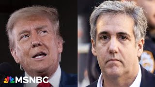 Trump's team doesn't want to seem 'fearful' of Michael Cohen's testimony: Former NY judge