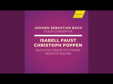 Violin Concerto in E Major, BWV 1042: I. Allegro