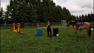 Groundwork For Success - Episode 5 - The Squeeze Exercise - Introducing Narrow Spaces