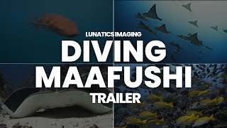 Diving Maafushi Trailer | Maldives 2023