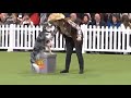 Toy Story Freestyle HTM Crufts (1st Place)