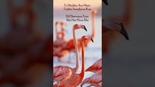 Tu Mujhko Aur Main Tujhko Samjhau'n Kya #soulful #classics #melody #raregems #lifelessons #timeless