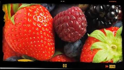 Motion Graphics by Lott Multimedia - QuickPro Camera Guides Opener