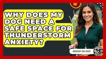 Why Does My Dog Need A Safe Space For Thunderstorm Anxiety? - Obedient Dog Guide