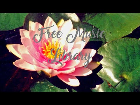 royalty-free-music-library-♫-big-blues---audionautix