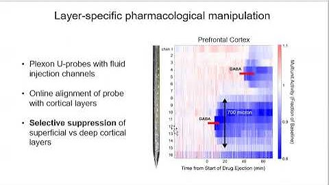 LAYER-SPECIFIC DEACTIVATION OF PREFRONTAL CORTEX AS A CAUSAL TEST OF PREDICTIVE CODING