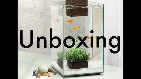Fluval Chi tank set up #1 | Unboxing