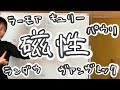 磁性まとめ【ラーモア反磁性、キュリー常磁性、ヴァンヴレック常磁性、ランダウ反磁性、パウリ常磁性】