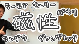 磁性まとめ【ラーモア反磁性、キュリー常磁性、ヴァンヴレック常磁性、ランダウ反磁性、パウリ常磁性】