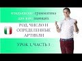 ИТАЛЬЯНСКИЙ ЯЗЫК, РОД, ЧИСЛО, ОПРЕДЕЛЕННЫЕ АРТИКЛИ