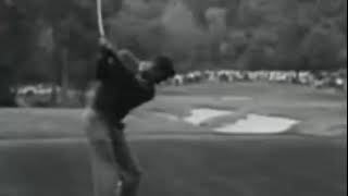 Palmer