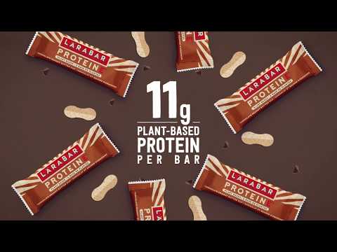 larabar-plant-based-protein-bar-:15