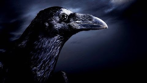 Mystery Case Files Ravenhearst Part 2: Indecision-I must return home (Part of horrortober 2021)