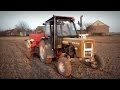 Młodzi w akcji vs Siew 2015 ☆ Ursus c360 3p & Massey Ferguson 3060 ㋡ MafiaSolec