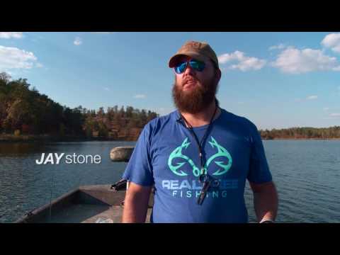 Learn more about Fin Commander