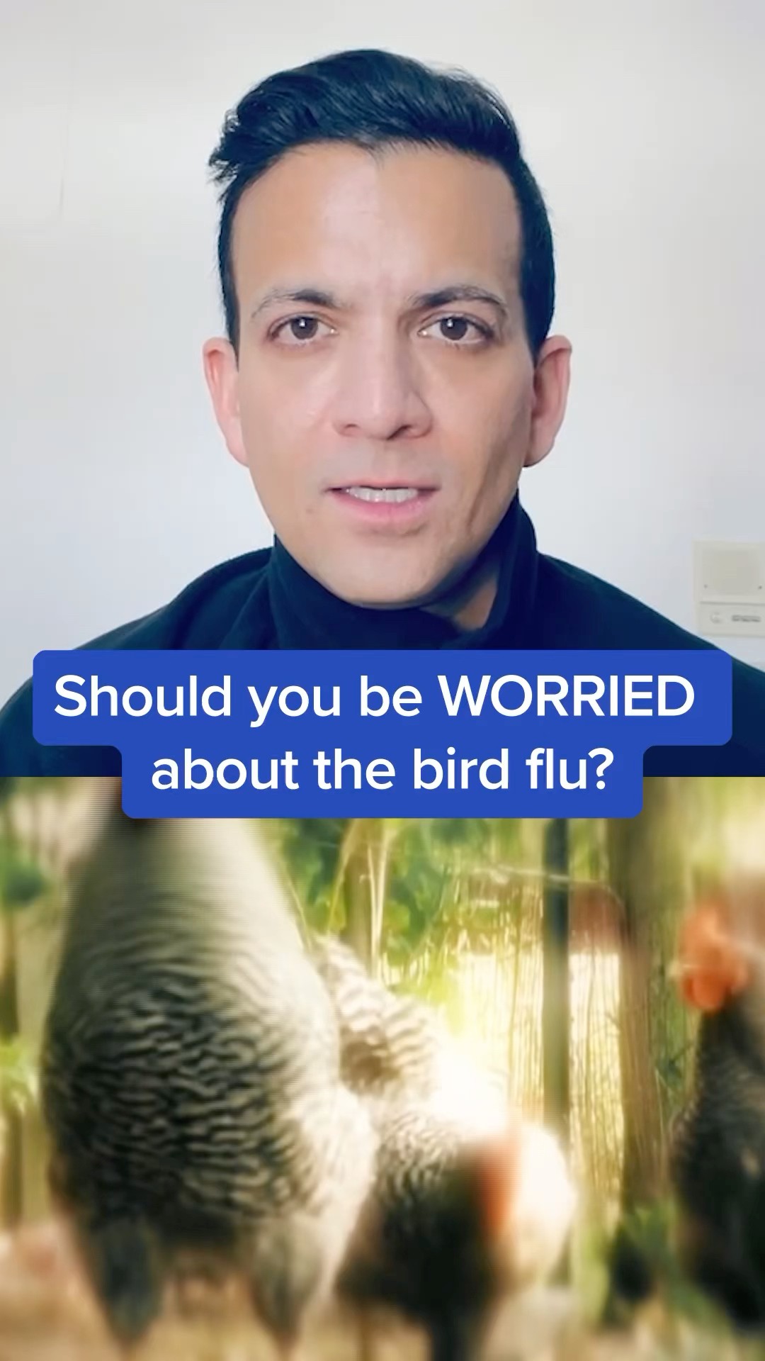 Should you be worried about bird flu?