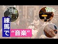 ねりまほっとライン（ねりまで”音楽”）令和７年12月号