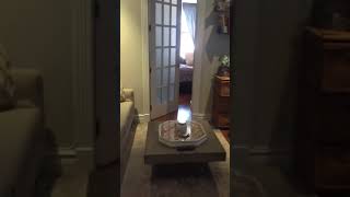 219 East 28th street #4A
