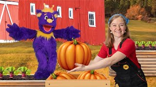 Fall Harvest | A Year of Fun with Zobey | The Adventures of Zobey | Fun, Healthy Kids Activities