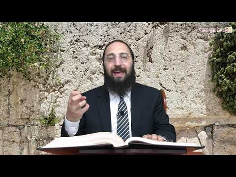 סוכה נ ב - Youtube