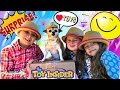 Family fun surprise toys opening toy surprise gifts from the toy insider