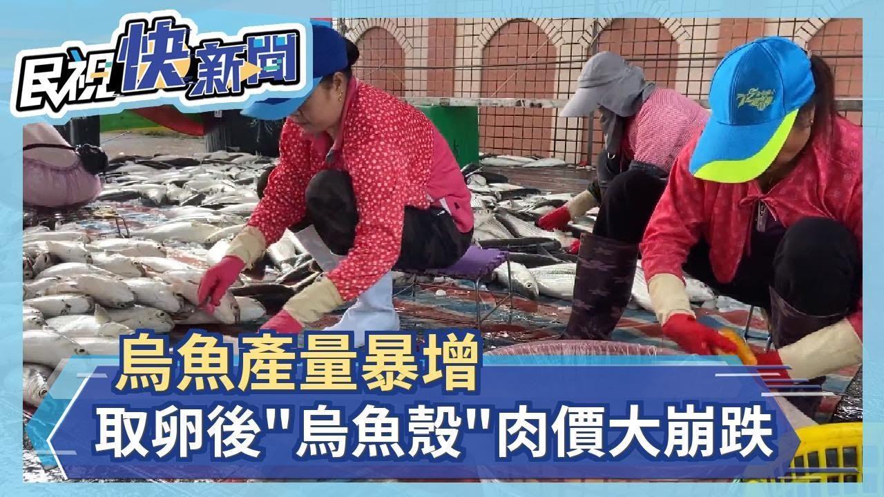 烏魚產量暴增取卵後 烏魚殼 肉價大崩跌 四季線上4gtv