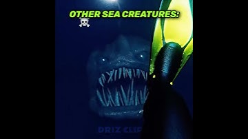 The last one shouldn’t even exist😬😨