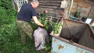 Переезд из города в деревню.  Купили дом в Самарской области на берегу Волги.