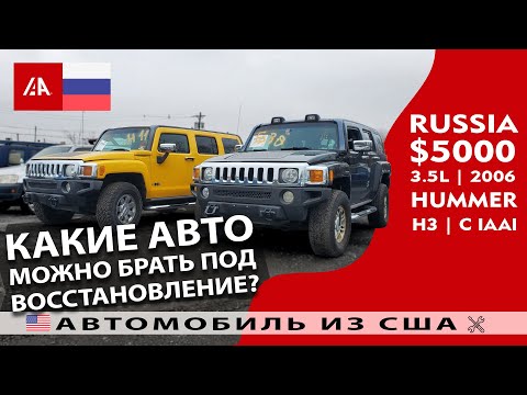 วีดีโอ: Hummer ใหญ่แค่ไหน?