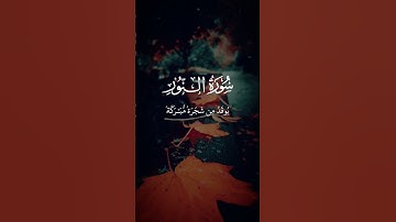 الشيخ ماهر المعيقلي _ سورة النور _ تلاوة مميزة للشيخ ماهر المعيقلي #اكسبلور #short