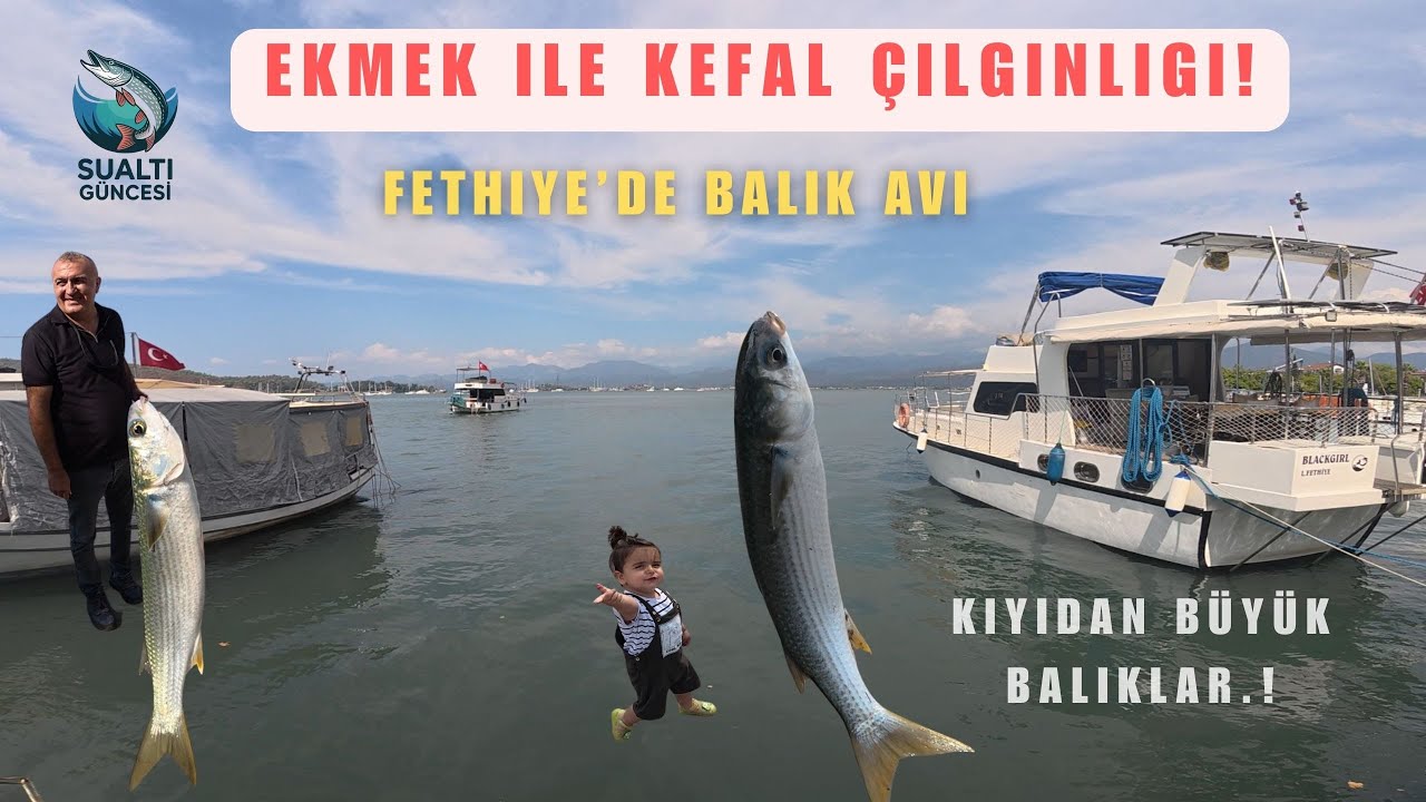 🎣FETHİYE'DE EKMEKLE KEFAL AVI | KIYIDAN BÜYÜK BALIKLAR.!#kefal #fethiye #kefalavı #fish #balıkavı 