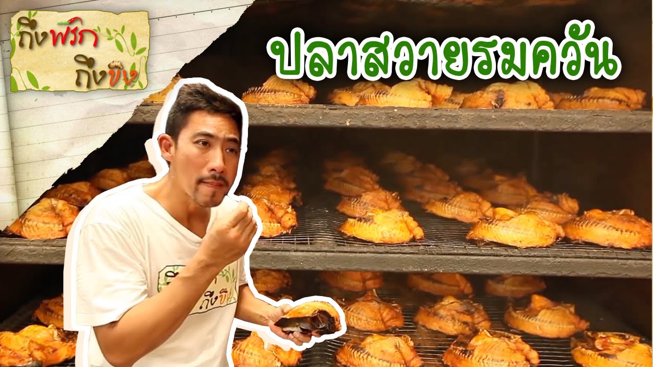 ปลาสวายรมควัน I ถึงพริกถึงขิง 21-07-16