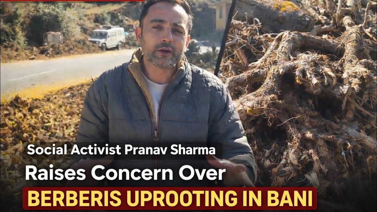 Social Activist Pranav Sharma Raises Concern, Seeks Probe into  Berberis Uprooting in Bani”