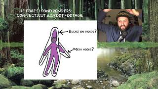 Connecticut Bigfoot Footage
