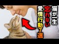 【99%が気づいていない】猫があなたから受けたい一生忘れない「愛情行動」７選