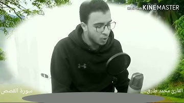 قصة قارون من سورة القصص