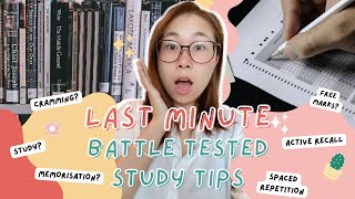 Last Minute Studying Tips to Save Your Grades In 2024 (Exam Hacks You Need to Know!)