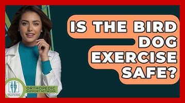 Is The Bird Dog Exercise Safe? - Orthopedic Support Network