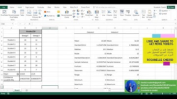 Descriptive Analysis using excel and insert Confidence Interval to a Graph-Rosabelle CHEDID