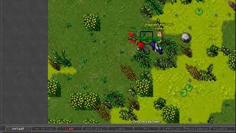 Tibia Bot  Kill Fail