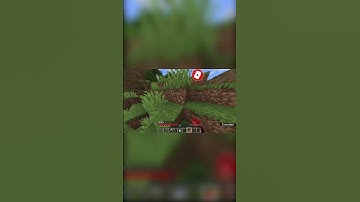 Minecraft But If I Take Damage The Video Ends