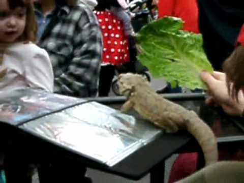 backlash winner kids day with some of our Reptiles 3-06-10.wmv