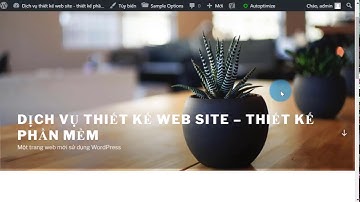 Hướng dẫn quản trị menu WordPress