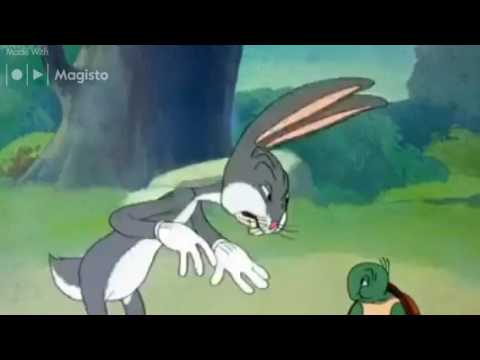 Bugs Bunny Vs Turtle Race