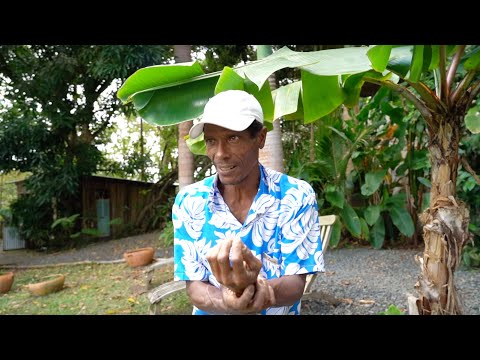 Video: Cele mai bune excursii de o zi din Castries, St. Lucia