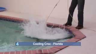 TWN Top 5: Animals Staying Cool In The Pool TWN Top 5: Animals Staying Cool In The Pool