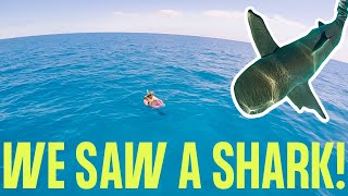 SNORKELING IN KEY WEST - The Dolphin Watch and Snorkel Tour Key West Florida