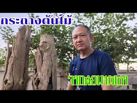 วีดีโอ: ท่อนไม้ใช้ทำอะไร?